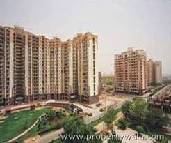 3 BHK Apartment 2750 Sq.ft. for Rent in