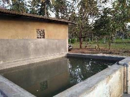 1 BHK Farm House for Rent in Kanakapura, Bangalore