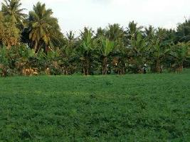  Agricultural Land for Sale in East Coast Road, Chennai