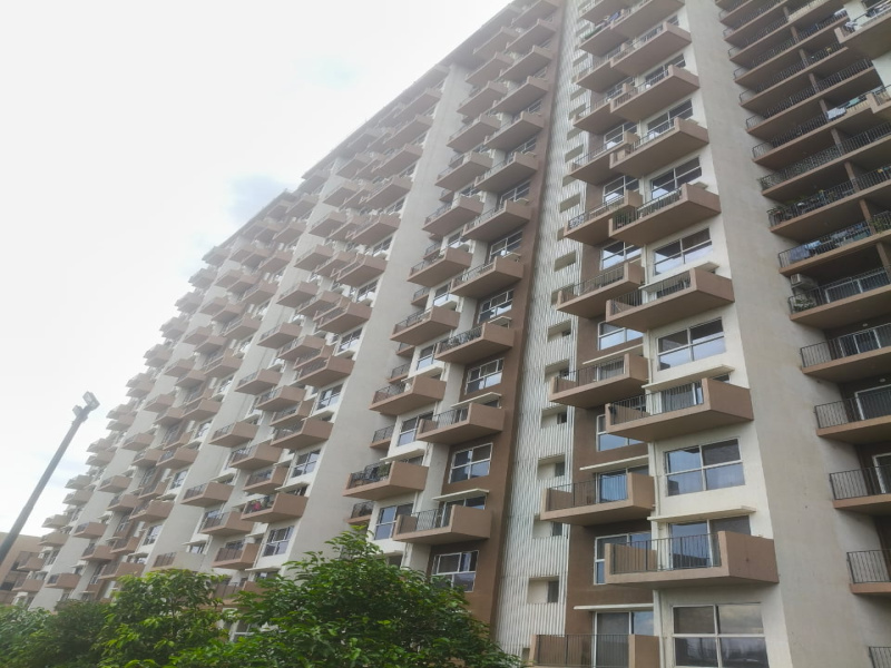 3 BHK 1250 Sq.ft. Apartment for Rent in Manjri, Pune