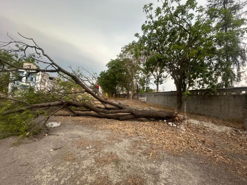  90 Guntha Industrial Land for Sale in Koregaon Bhima, Pune