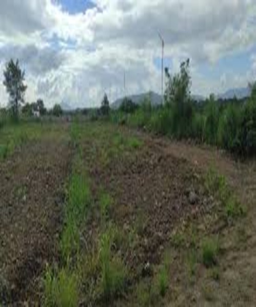  37 Acre Industrial Land for Sale in Daund, Pune