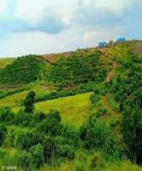  37 Acre Industrial Land for Sale in Daund, Pune