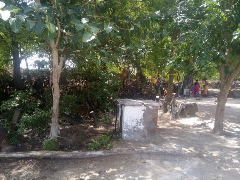Agricultural Land 40 Acre for Sale in Kariapatti, Madurai