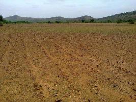  Residential Plot for Sale in Dholka, Ahmedabad