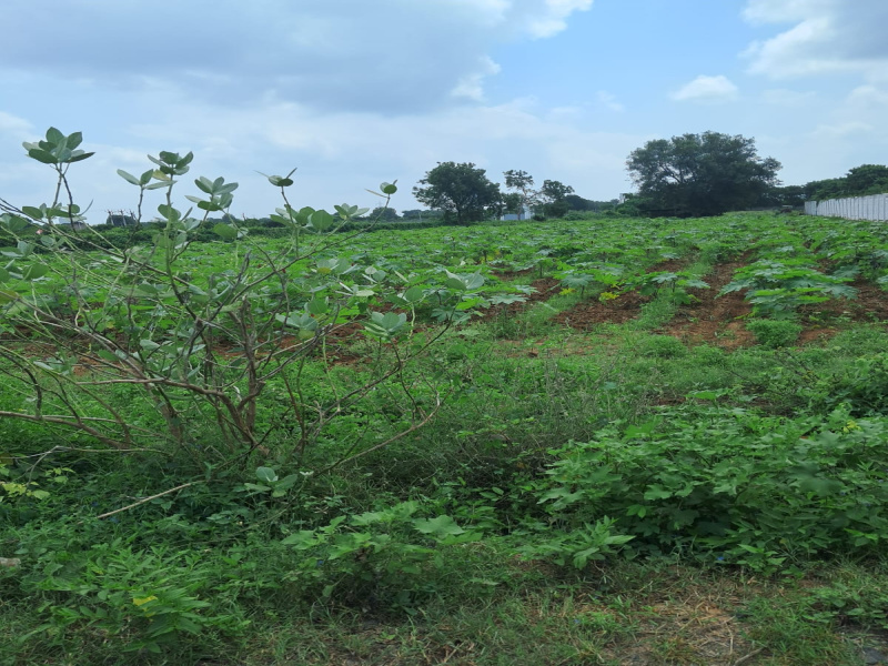  2 Bigha Residential Plot for Sale in Pethapur, Gandhinagar