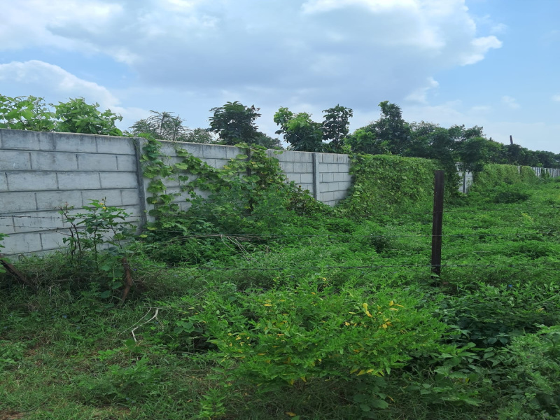  2 Bigha Residential Plot for Sale in Pethapur, Gandhinagar