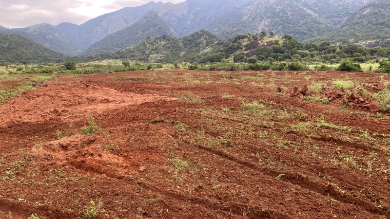  Agricultural Land 51 Acre for Sale in Tenkasi, Tirunelveli