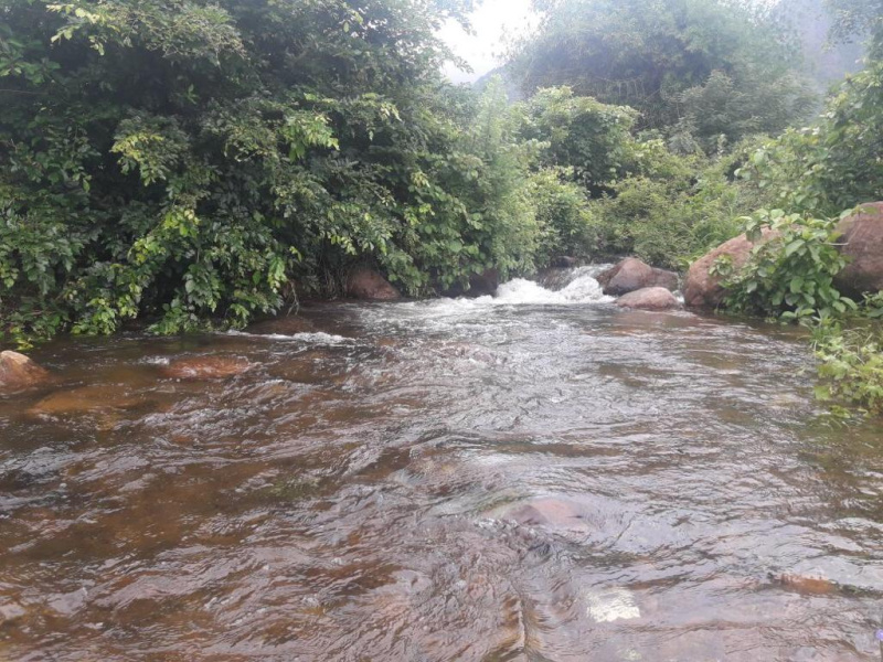  Agricultural Land 51 Acre for Sale in Tenkasi, Tirunelveli