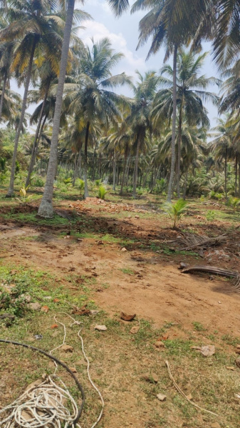  Residential Plot 1800 Sq.ft. for Sale in Thaiyur, Chennai