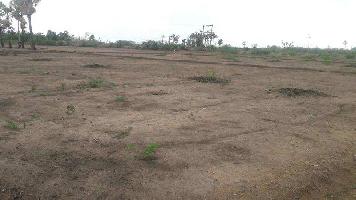  Agricultural Land for Sale in Sattur, Virudhunagar