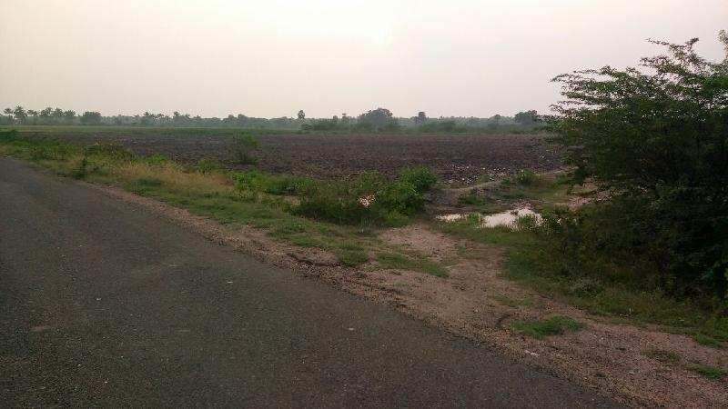 Agricultural Land 100 Acre for Sale in Srivilliputhur, Virudhunagar