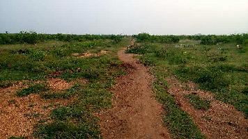  Agricultural Land for Sale in Srivilliputhur, Virudhunagar