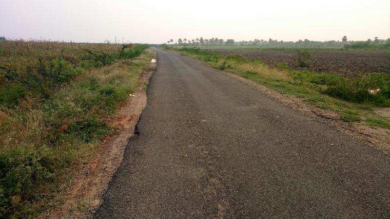 Agricultural Land 220 Acre for Sale in