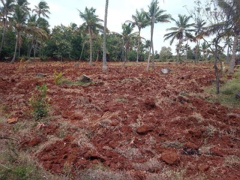 Agricultural Land 8 Ares for Sale in Achampudur, Tirunelveli