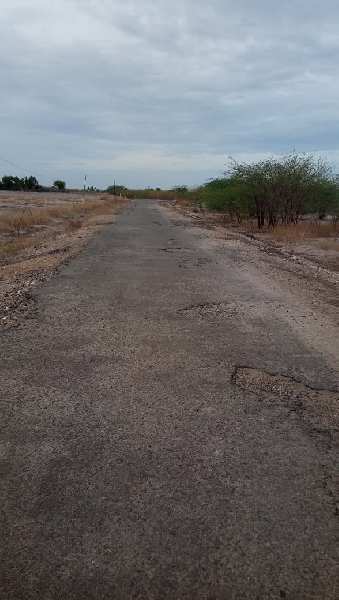 Agricultural Land 126 Acre for Sale in