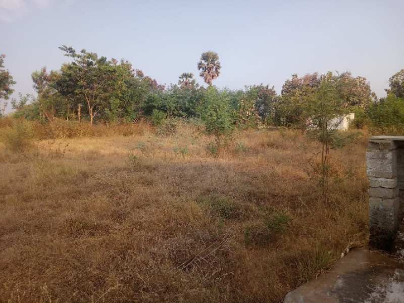 Agricultural Land 11 Acre for Sale in Rajapalayam, Virudhunagar