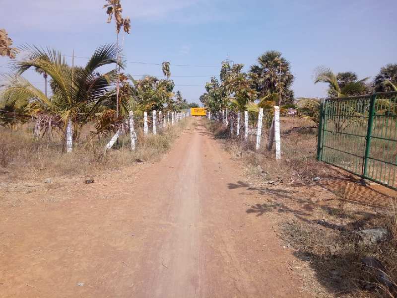 Agricultural Land 11 Acre for Sale in Melapalayam, Tirunelveli
