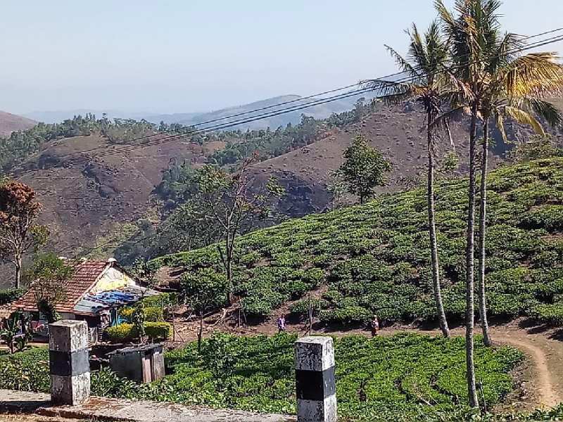 Agricultural Land 3500 Acre for Sale in Kumily, Idukki
