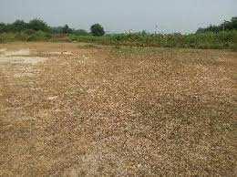 Residential Plot for Sale in Bhadruk, Lucknow