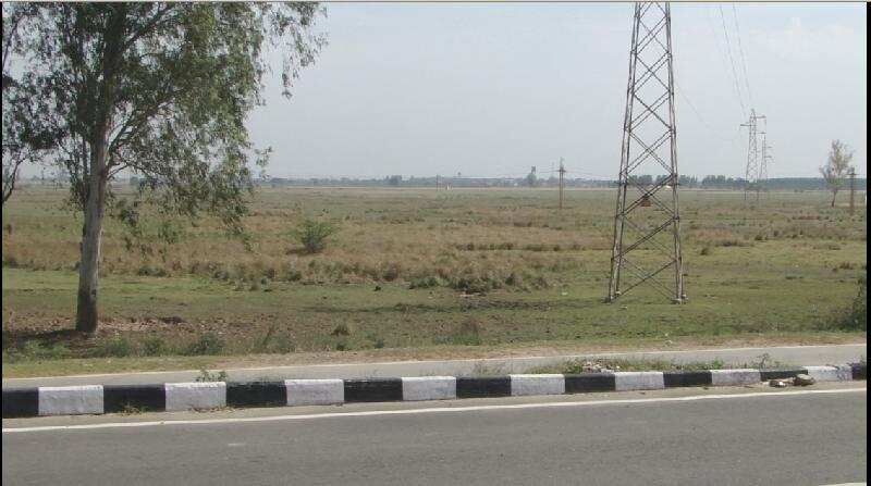  Agricultural Land 575 Acre for Sale in NH 1, Rajpura