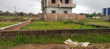  Agricultural Land for Sale in Daladili, Ranchi