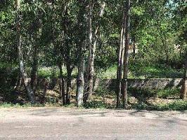  Commercial Land for Sale in Ambala City