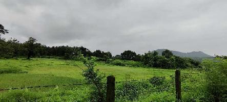  Agricultural Land for Sale in Khalapur, Navi Mumbai