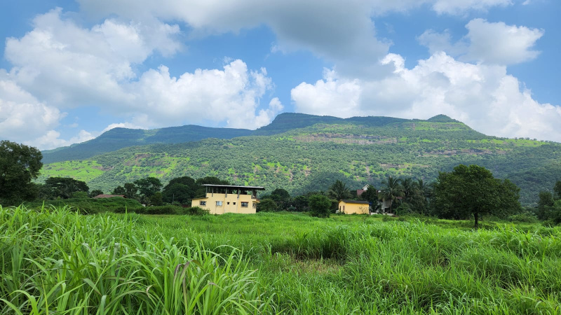  Agricultural Land 2 Acre for Sale in Karjat, Mumbai