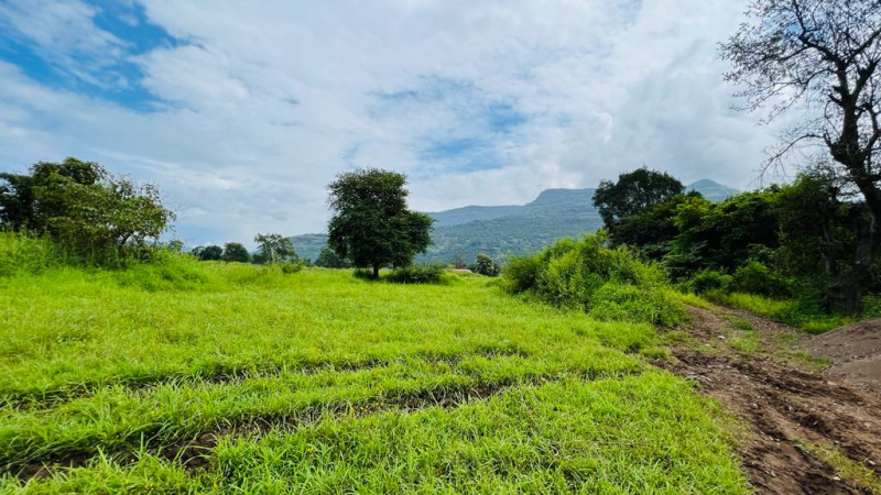  Agricultural Land 5 Acre for Sale in Karjat, Mumbai