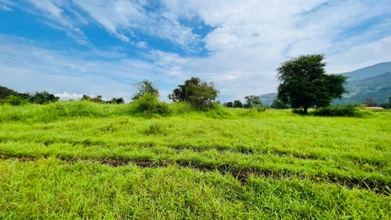  Agricultural Land 5 Acre for Sale in Karjat, Mumbai