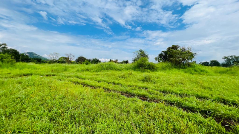  Agricultural Land 5 Acre for Sale in Karjat, Mumbai