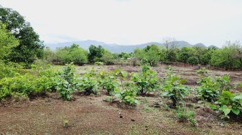  Agricultural Land for Sale in Karjat, Mumbai