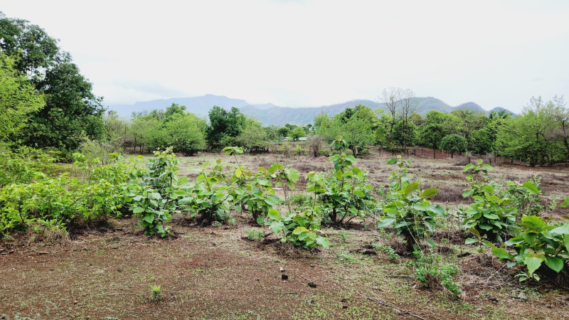  Agricultural Land 3 Acre for Sale in Karjat, Mumbai