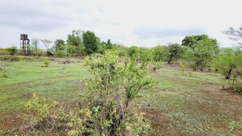  Agricultural Land 3 Acre for Sale in Karjat, Mumbai