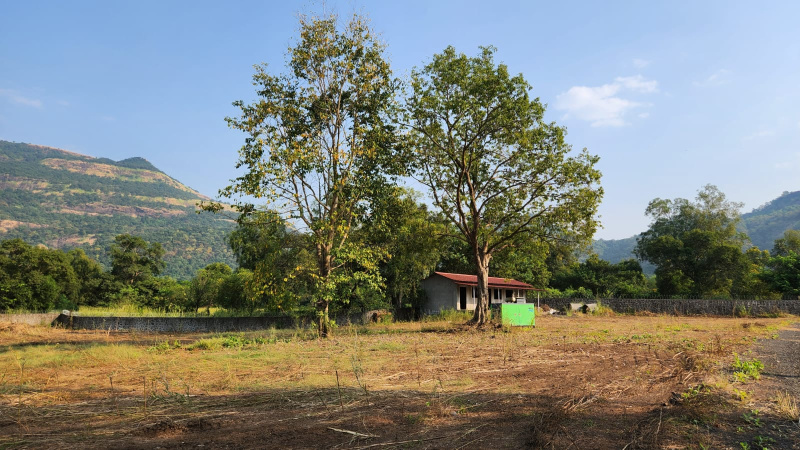  Agricultural Land 3 Acre for Sale in Karjat, Mumbai