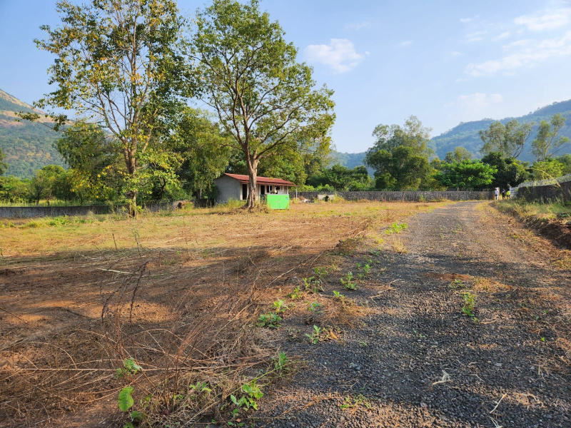 Agricultural Land 3 Acre For Sale In Karjat, Mumbai (REI1234504)