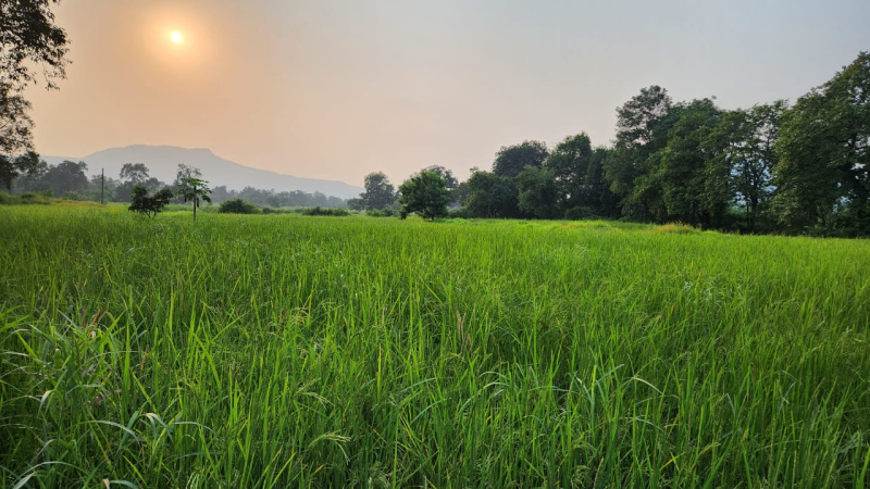  Agricultural Land 1 Acre for Sale in Karjat, Mumbai