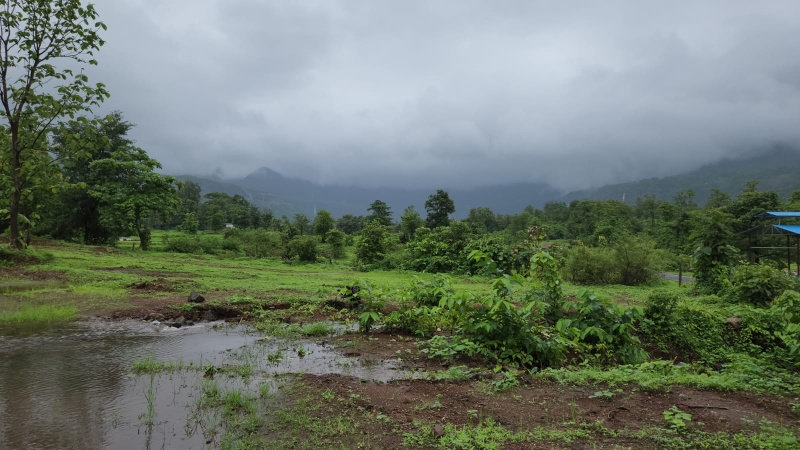  Agricultural Land 7 Acre for Sale in Karjat, Mumbai