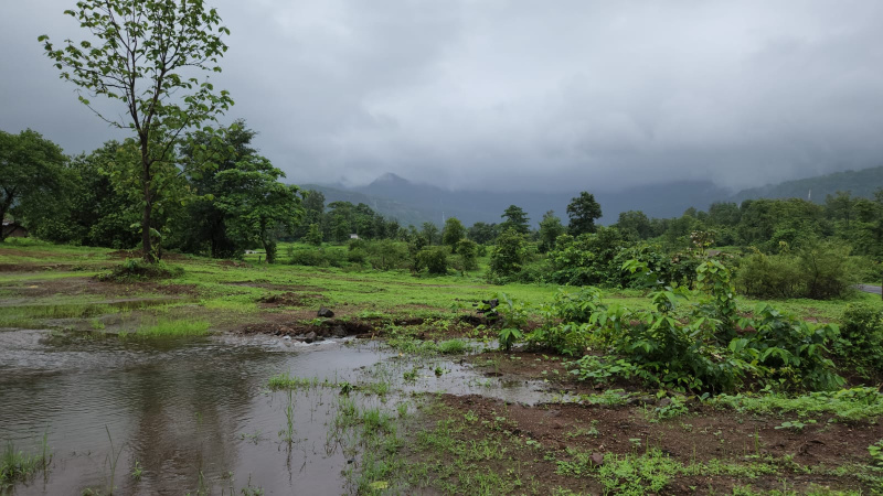  Agricultural Land 7 Acre for Sale in Karjat, Mumbai