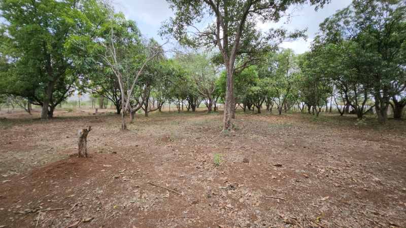  Agricultural Land 10 Acre for Sale in Karjat, Mumbai