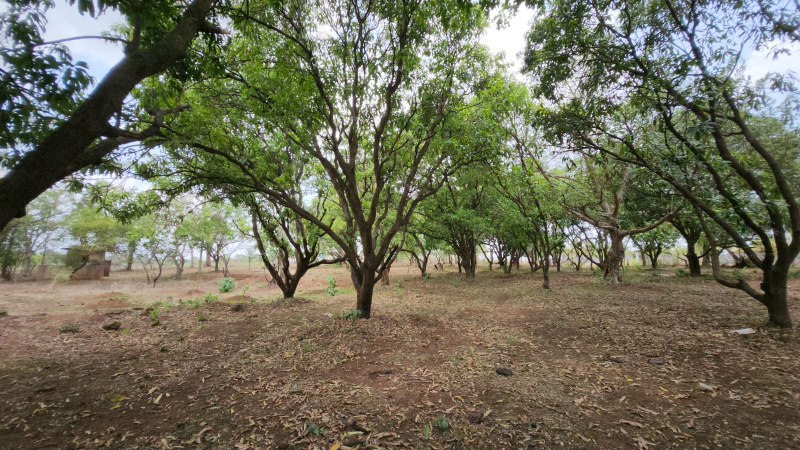  Agricultural Land 10 Acre for Sale in Karjat, Mumbai