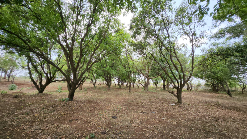  Agricultural Land 10 Acre for Sale in Karjat, Mumbai