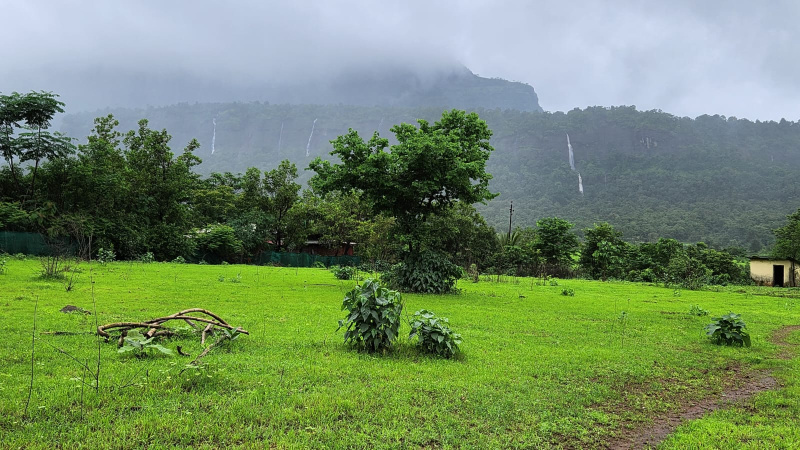  Agricultural Land 3 Acre for Sale in Karjat, Mumbai