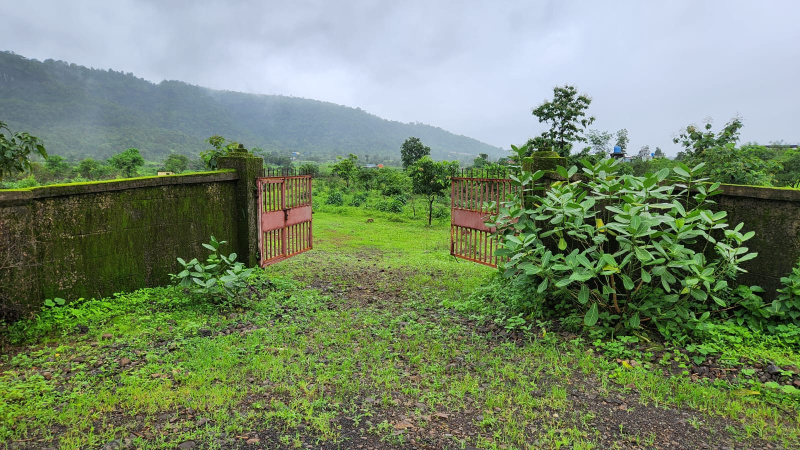  Agricultural Land 3 Acre for Sale in Karjat, Mumbai