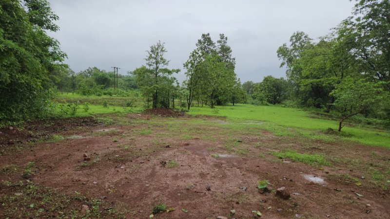  Agricultural Land 4 Acre for Sale in Karjat, Mumbai