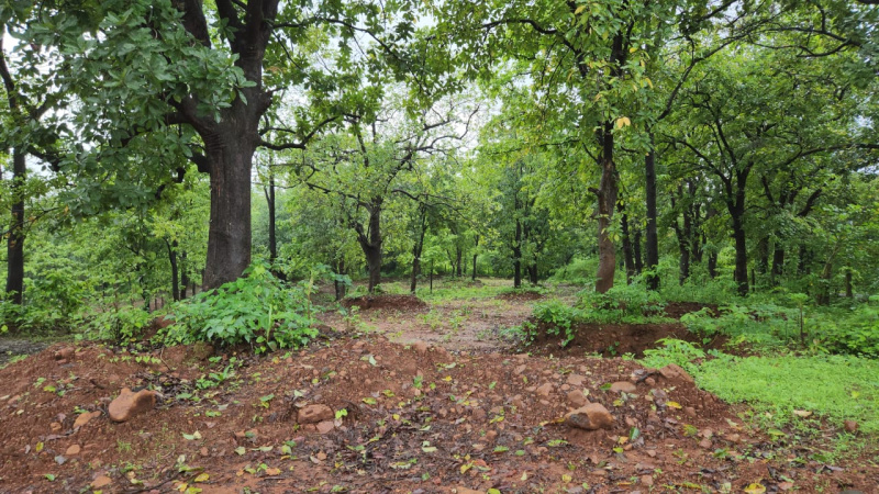  Agricultural Land 4 Acre for Sale in Karjat, Mumbai