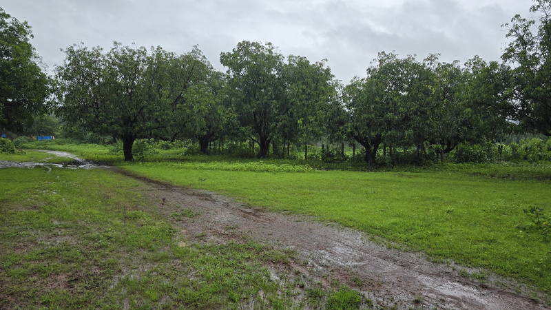  Agricultural Land 57 Guntha for Sale in Karjat, Mumbai