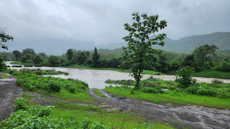  Agricultural Land 27 Guntha for Sale in Karjat, Mumbai