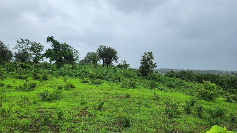  Agricultural Land 2 Acre for Sale in Karjat, Mumbai